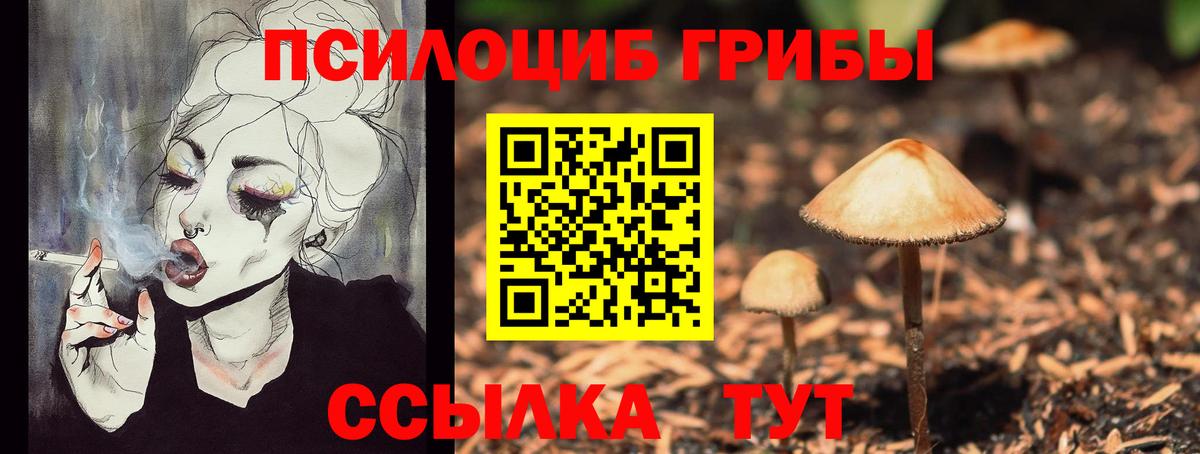 Галлюциногенные грибы ЛСД  Вход с VPN  Галлюциногенные грибы GOLDEN TEACHER  Кудрово 