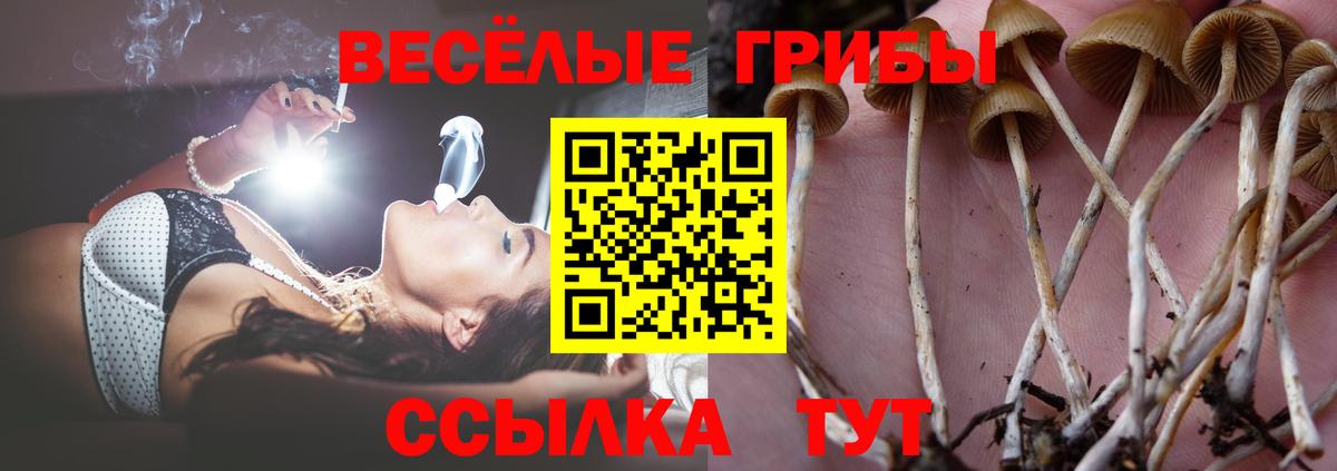 Галлюциногенные грибы прущие грибы Кудрово